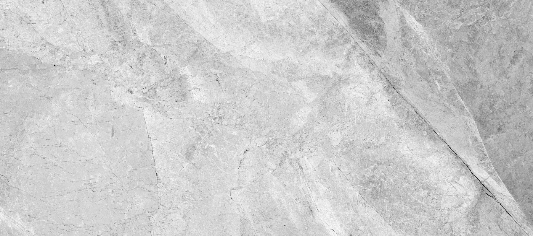 Cool Grey Marble Vein Slab Wall Mural
