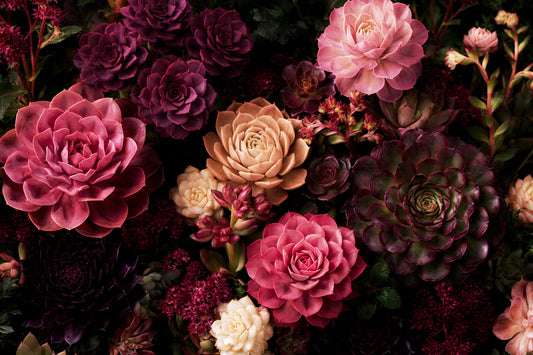 Midnight Succulent Bloom Wall Mural