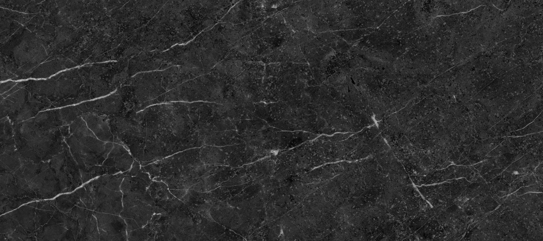 Dark Charcoal Veined Stone Texture Wall Mural
