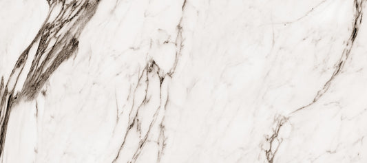 Monochrome Marble Veining Wall Mural