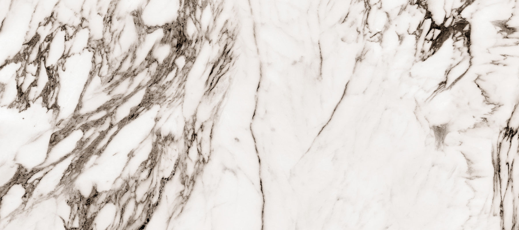Classic White Marble Veining Wall Mural