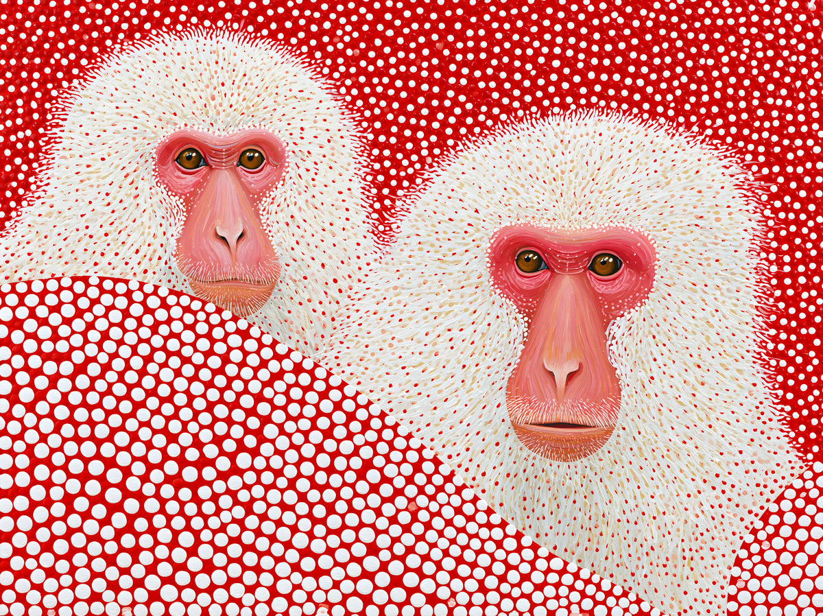 Snow Monkey Polka Dot Portrait Wall Mural in your room — zoomed