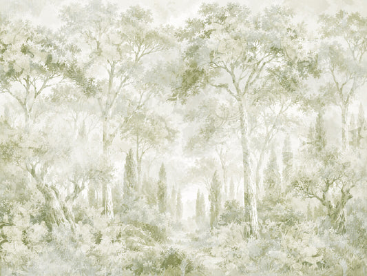 Eucalyptus Green Tuscan Forest Path Wall Mural
