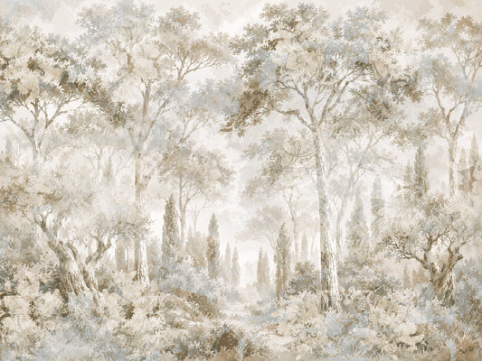 Misty Tuscan Forest Path Wall Mural Wall Mural