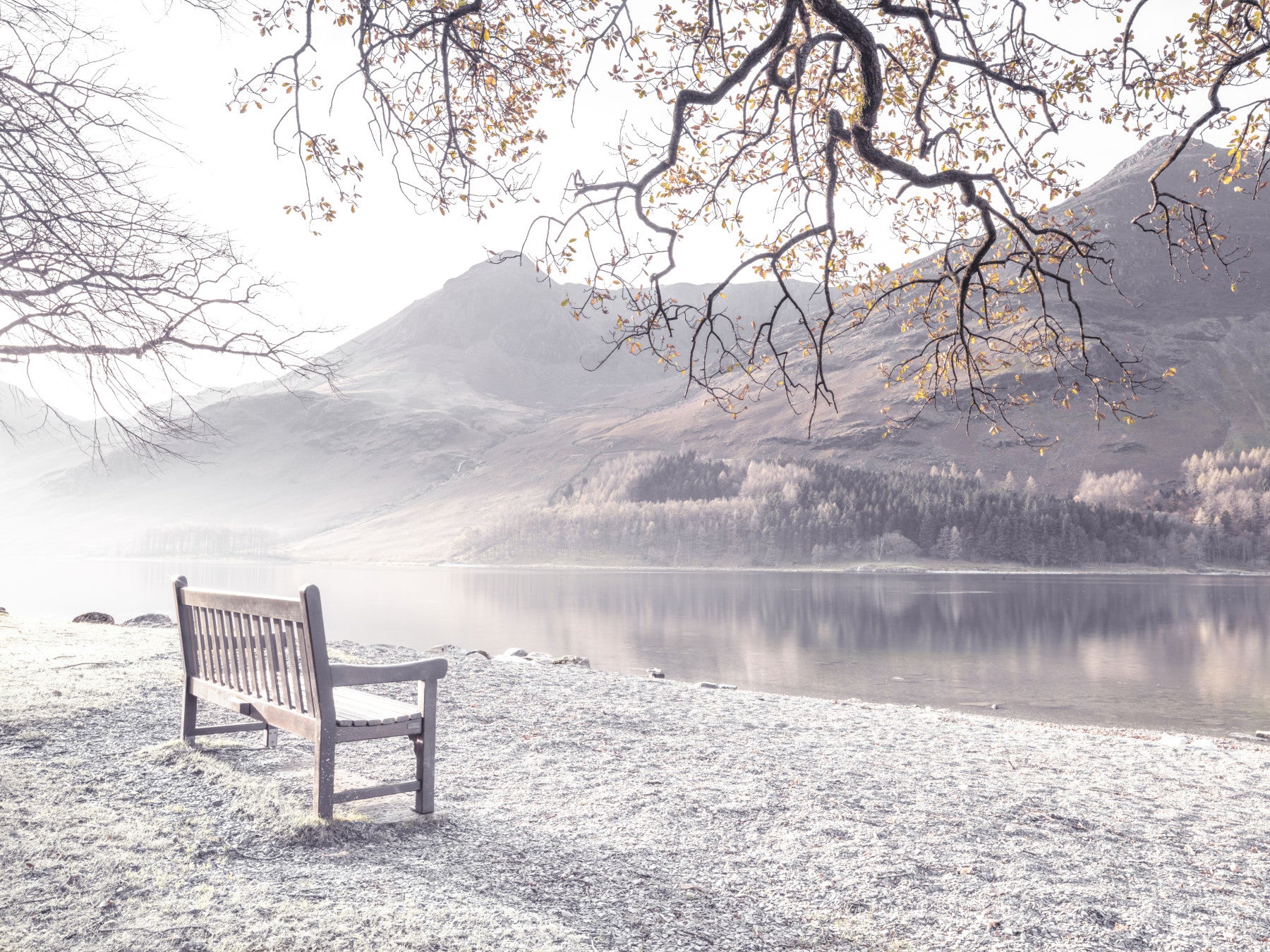 Misty Morning Mountain Vista Wall Mural