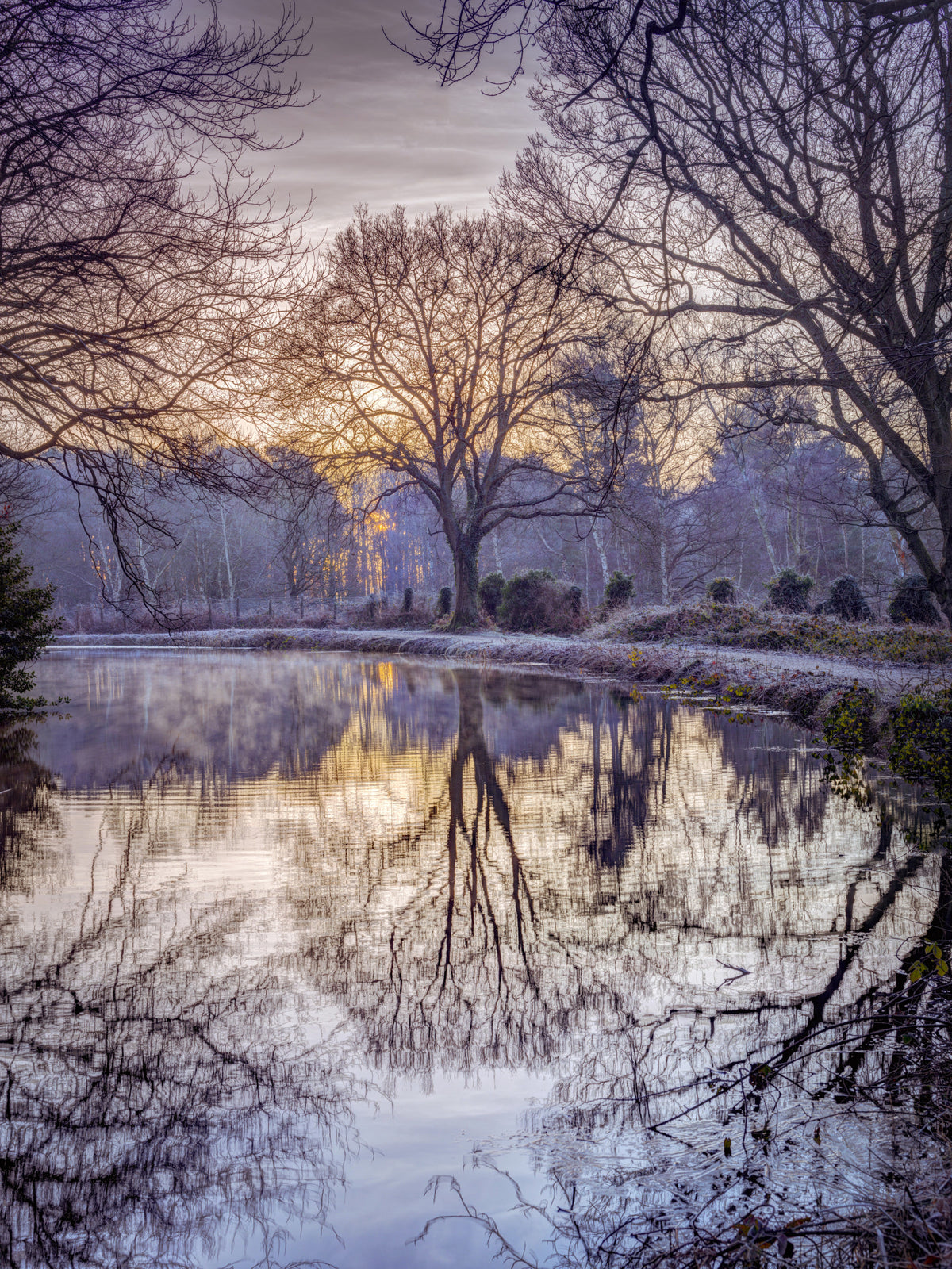 Golden Sunset Reflected in Still Woodland Waters Wall Mural in your room