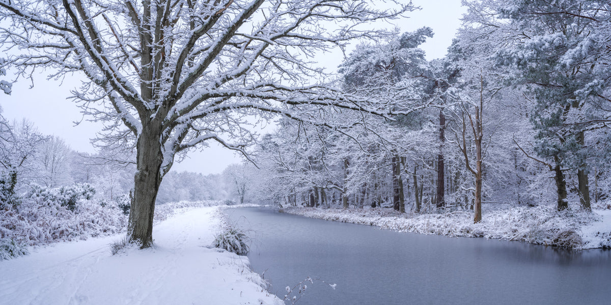 Snowy River Path Wall Mural in your room