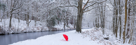 Frozen Creek and Red Umbrella Wall Mural