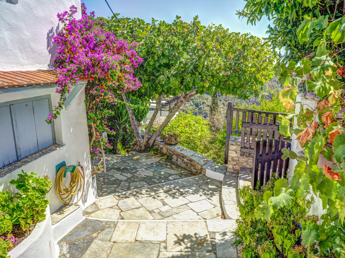 Sun-Drenched Coastal Terrace Wall Mural in your room — zoomed