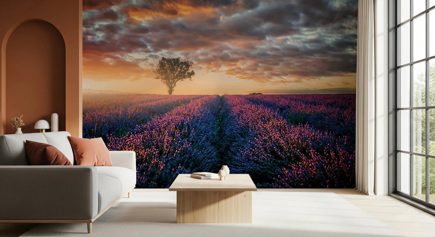 Lavender rows stretch under glowing morning sky wall mural
