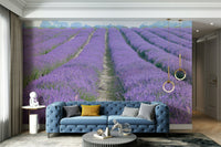 Ideal wallpaper for creating a peaceful, relaxing atmosphere

