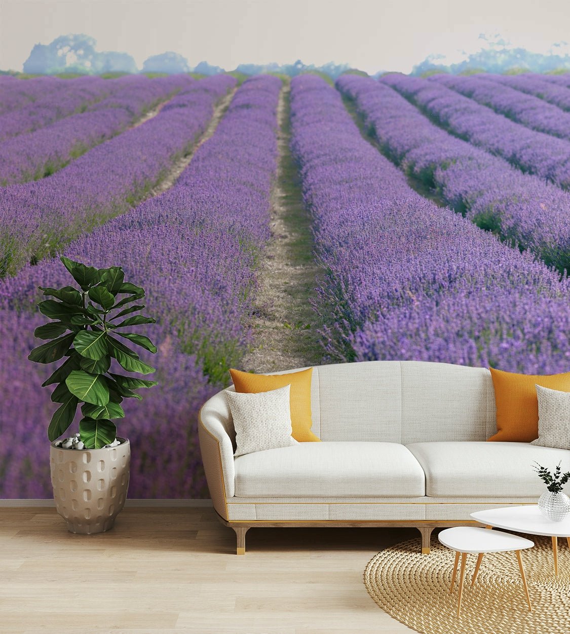 Soft purple hues in a serene lavender landscape

