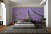 Lavender Dreams Wall Mural featuring a peaceful lavender field

