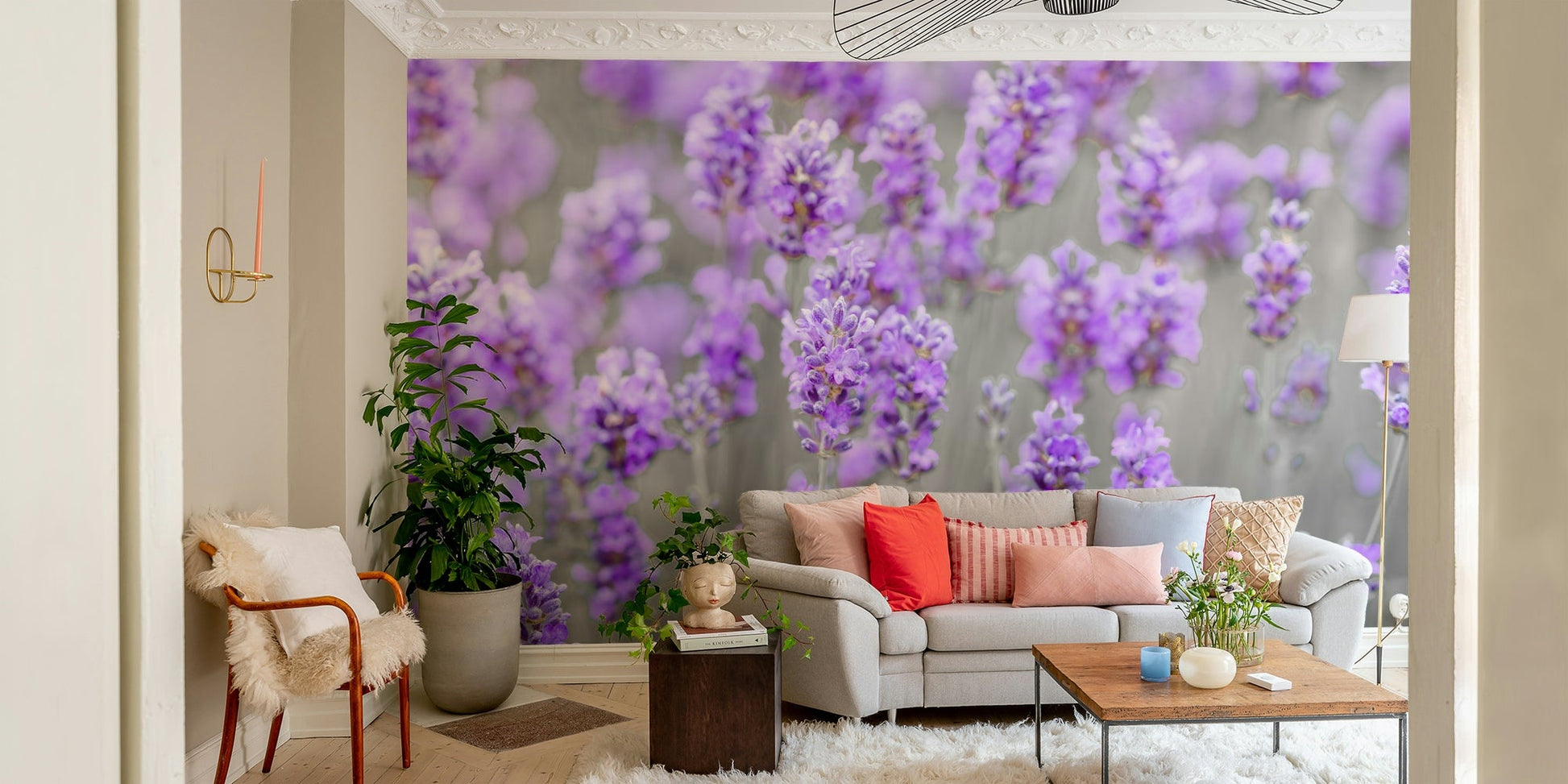 purple lavender stretching into the distance

