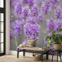 soft blue sky above a field

