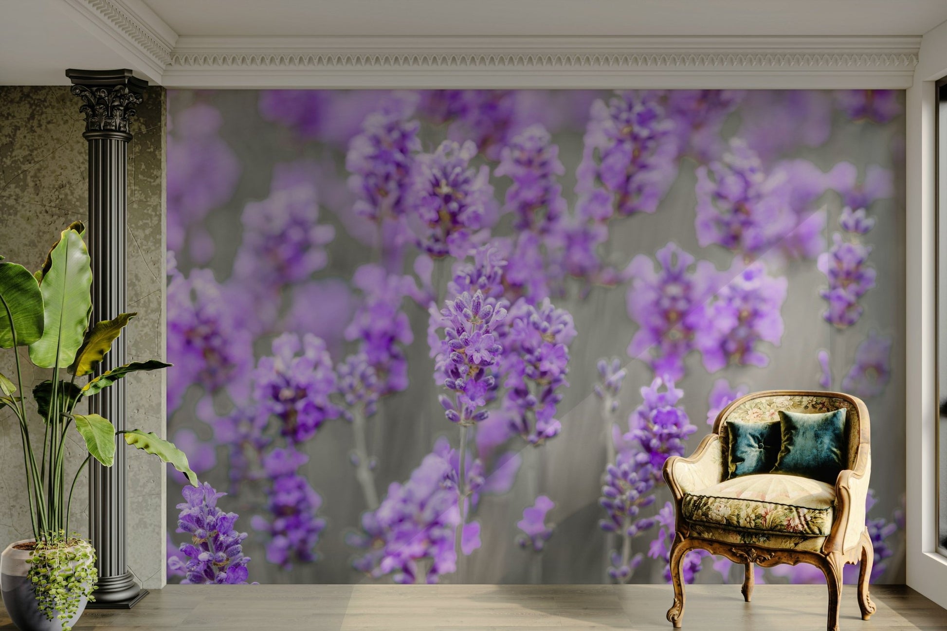 a vast field of lavender

