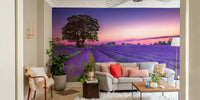 Lavender Field at Golden Hour Wall Mural with sunset light.


