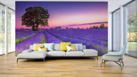 Peaceful lavender field mural capturing golden sunset light.

