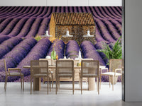 Lavender Haven wall covering featuring endless purple blooms and gentle sky tones.
