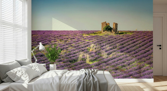 Lavender Field Sunset wall mural. Purple flower field wallpaper for walls.