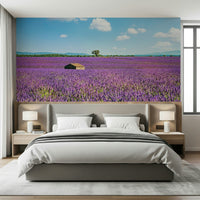 Decorative Provence wall mural inspired by French regions