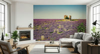 Dreamy Lavender Field Sunset wallpaper for walls, sweeping purple flower lines.