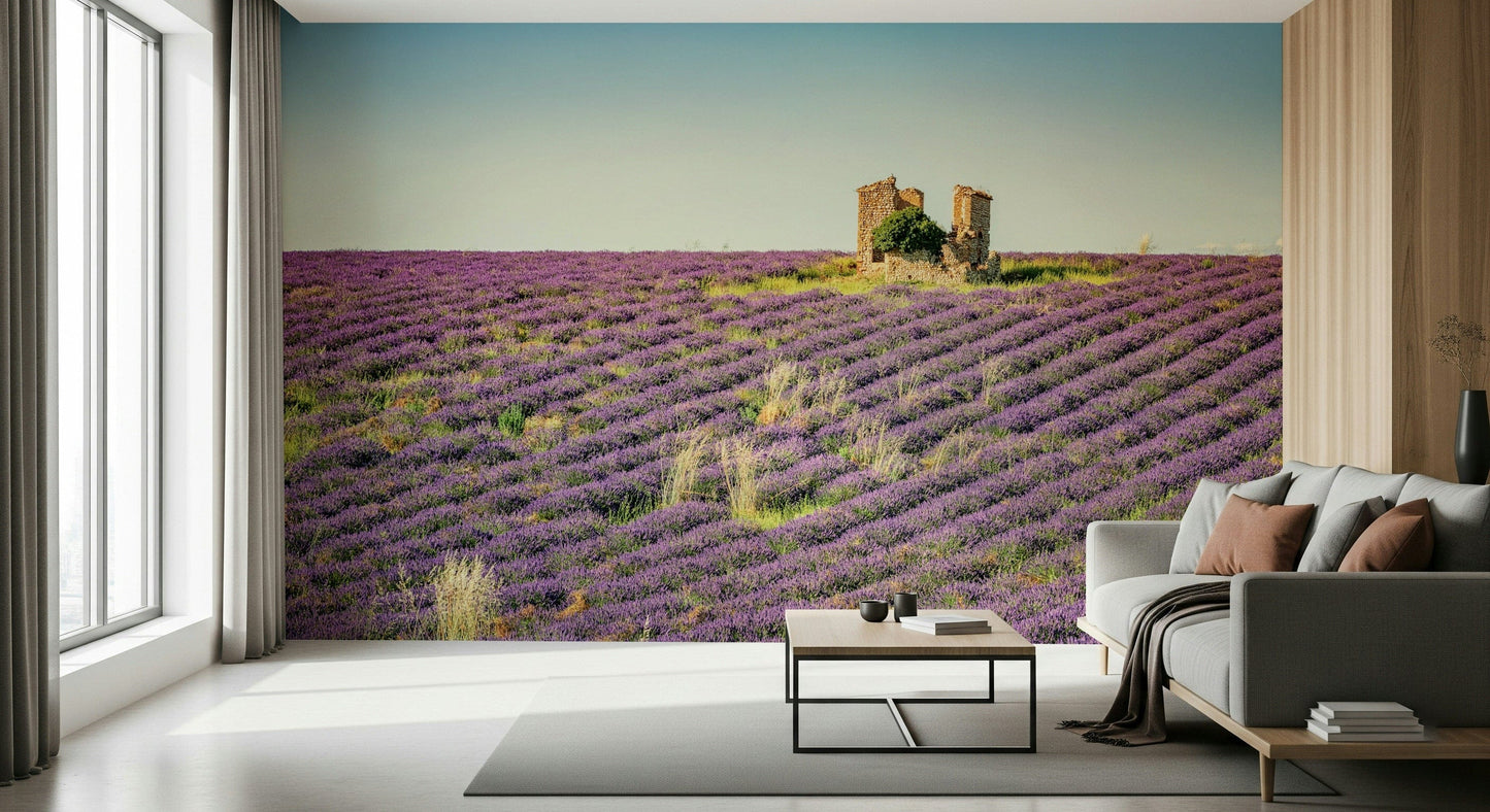 Wallpaper, Lavender Field Sunset. A beautiful purple landscape scene.