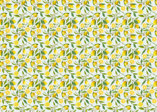 Kitchen Lemon Design Wallpaper Mural