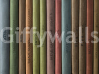 Colorful book spines wall mural for creating a reading nook atmosphere.

