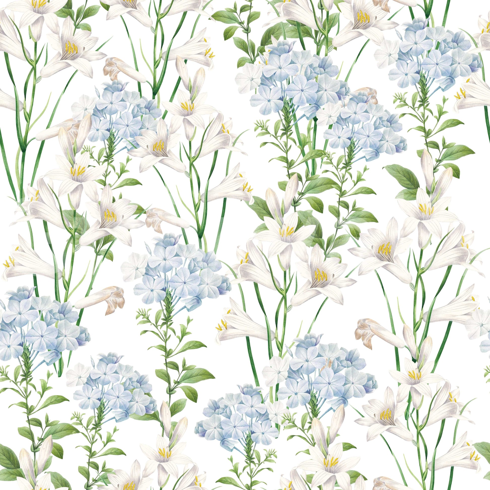Wallpaper with a gentle and inviting feel