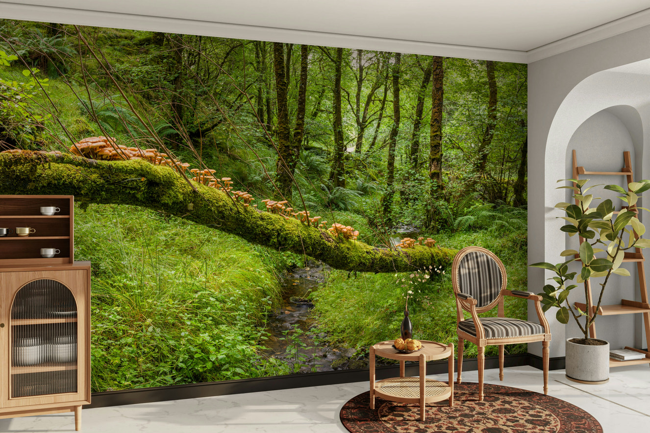 Wall mural of a peaceful forest floor.

