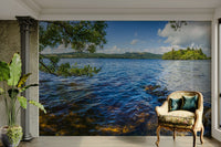 There are some tree branches in the water in the foreground.

