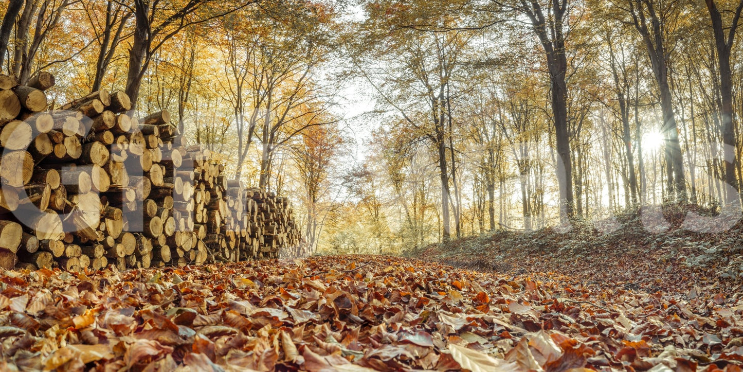 Fall season wallpaper with wood stack

