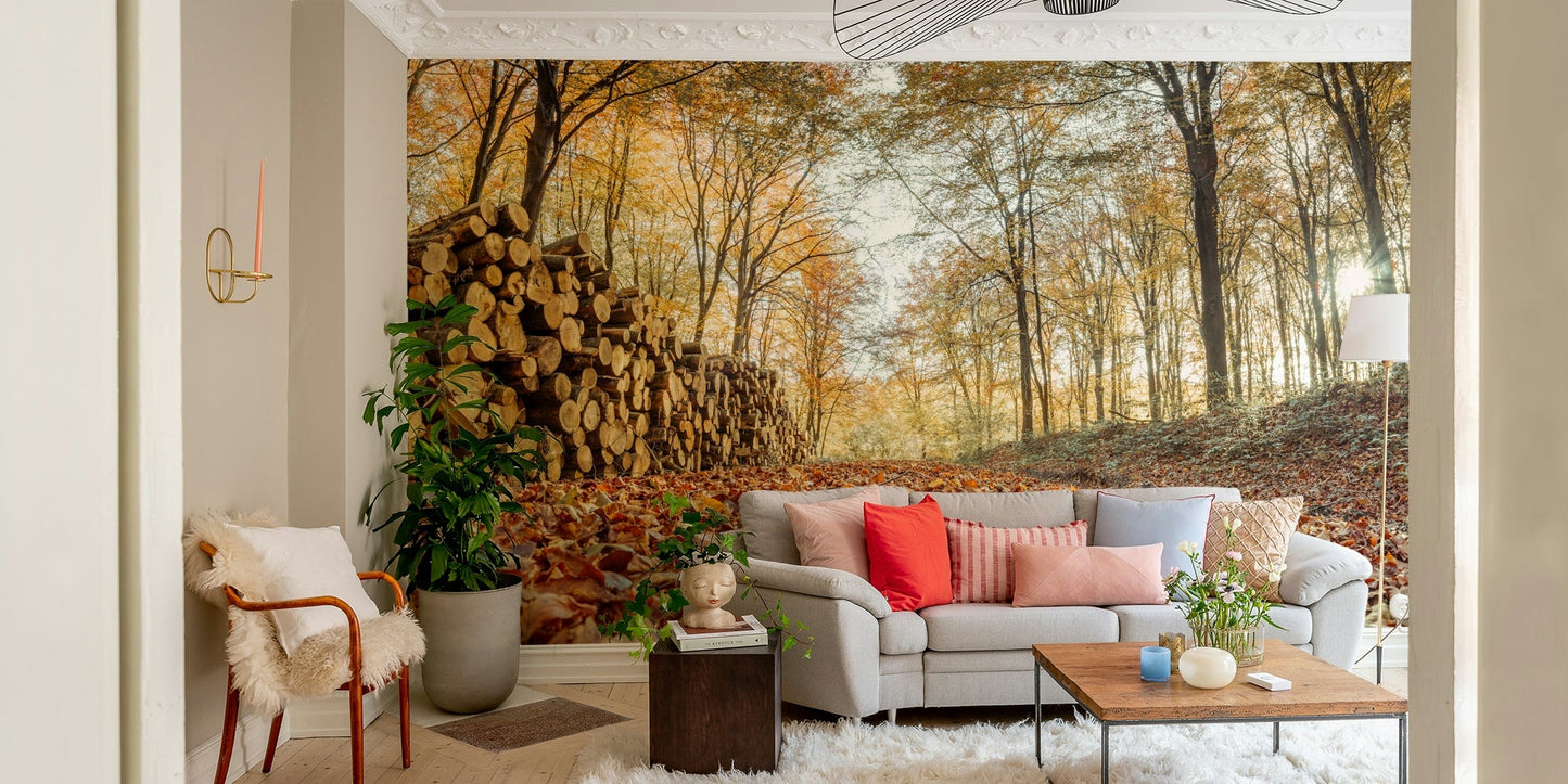 Rustic woodpile in fall forest wall mural

