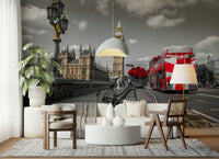 London Ride wallpaper mural in a living room with a white sofa, cane chair and big monstera plant