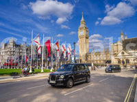 A decorative wall covering with a sophisticated aesthetic.

