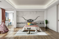 Longhorn in black and white.

