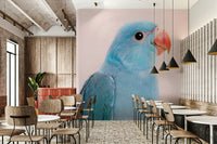 Soft bird-themed wallpaper in pink, blue, and green

