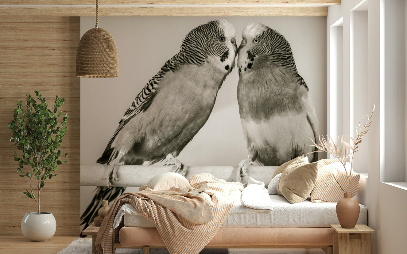 Wildlife Lovebirds on a Perch wall decal illustrating nuzzling parrot couple on wood.