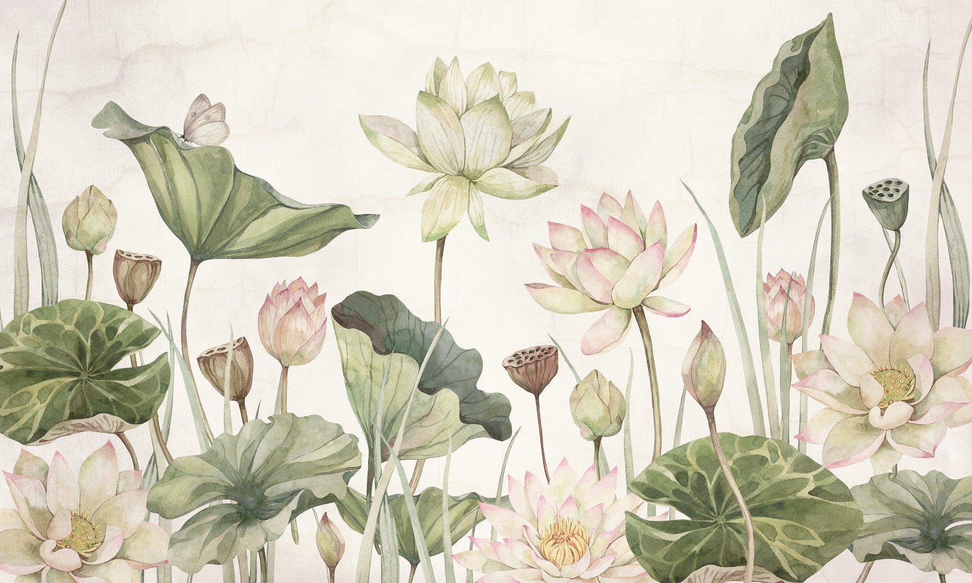 Lovely water lilies wallpaper murals