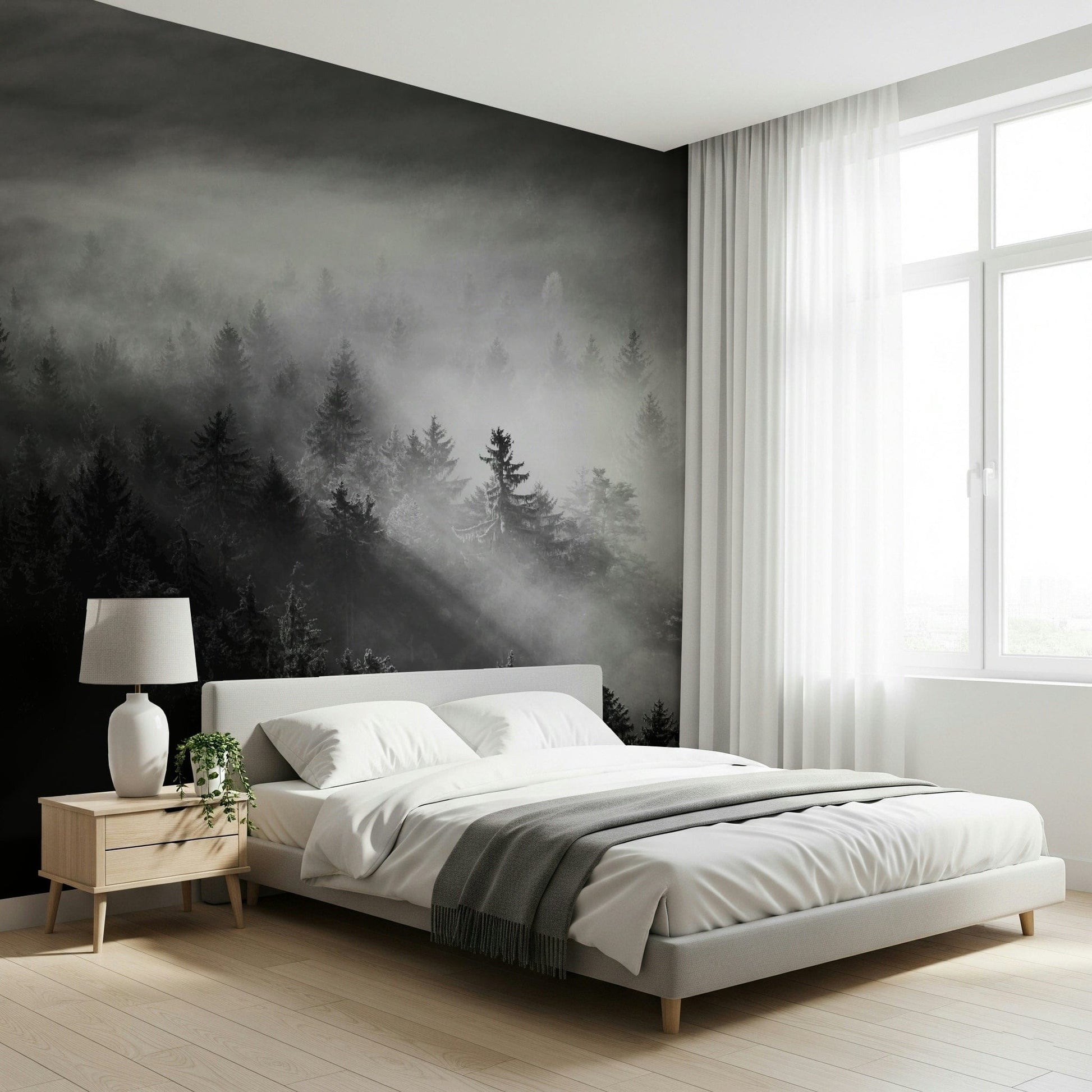 Monochrome Woodland Fog scene, captivating shading texture.