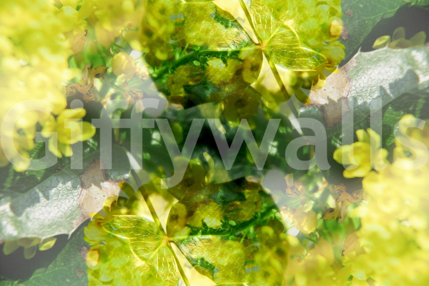 Calm botanical design for interiors
