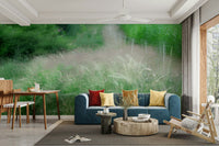 Peaceful path through green trees
