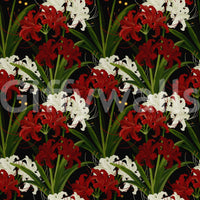 Lycoris Noir Midnight Romance white red flowers bloom Wall Mural