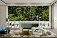 Peaceful tree top view wallpaper
