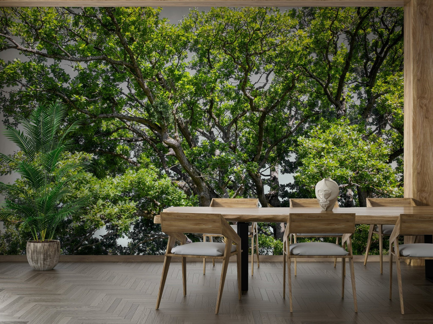 Leafy canopy nature wallpaper
