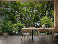 Leafy canopy nature wallpaper
