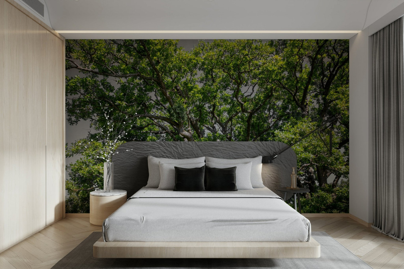 Oak tree canopy mural wallpaper
