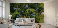 Grand tree in natural setting mural
