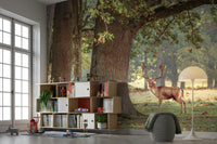 The wallpaper for walls being installed.

